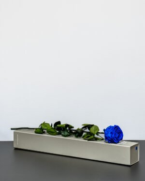 Singel Giftbox - V rose 22 Singel Giftbox - V rose Evighetsros 28