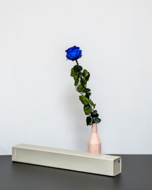 Singel Giftbox - V rose 23 Singel Giftbox - V rose Evighetsros 29