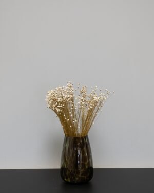 Glixia - Torkade blommor