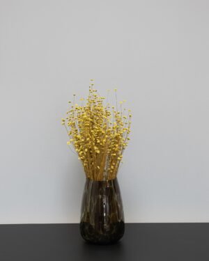 Glixia - Torkade blommor Glixia 11
