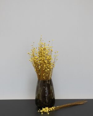 Glixia - Torkade blommor Glixia 12