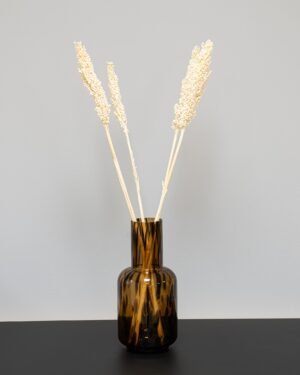 Indian Corn - 5 st,- Torkade Blommor