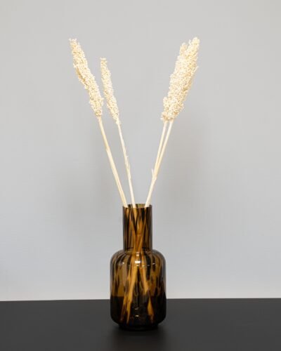 Indian Corn - 5 st,- Torkade Blommor