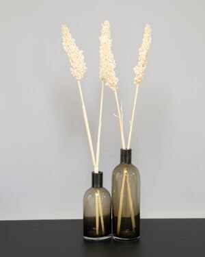 Indian Corn - 5 st,- Torkade Blommor Indian Corn 3