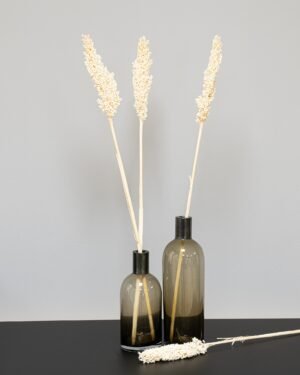 Indian Corn - 5 st,- Torkade Blommor Indian Corn 4
