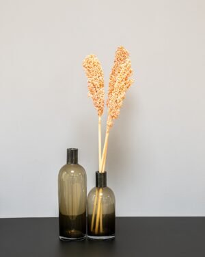 Indian Corn - 5 st,- Torkade Blommor Indian Corn 6