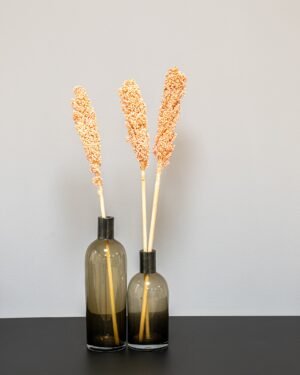 Indian Corn - 5 st,- Torkade Blommor Indian Corn 8