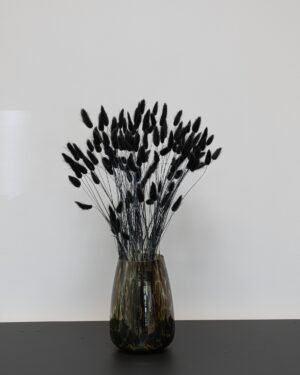 Lagurus - Torkade Blommor 9 Lagurus - Torkade Blommor Lagurus 1
