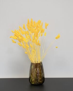 Lagurus - Torkade Blommor 11 Lagurus - Torkade Blommor Lagurus 11
