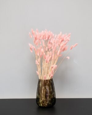 Lagurus - Torkade Blommor 10 Lagurus - Torkade Blommor Lagurus 15