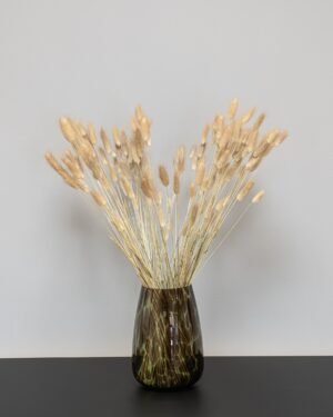 Torkade Blommor lagurus