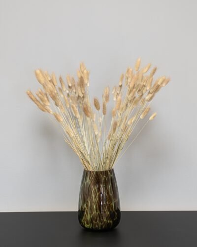 Torkade Blommor lagurus