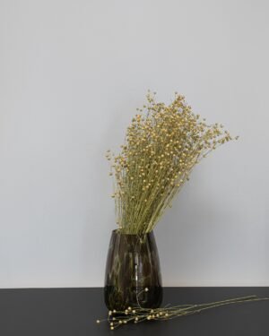 Lin Naturell - Torkade Blommor Lin 2