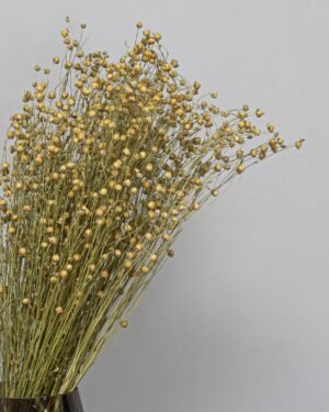 Lin Naturell - Torkade Blommor Lin 3