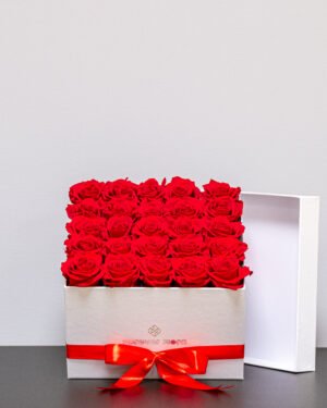 Rosbox