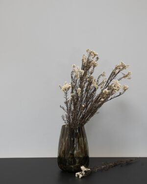 Diosmi Naturell - Konserverade Blommor Diosmi 6