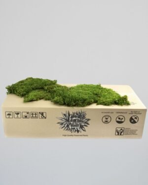 Konserverad Plattmossa – Bulk eller 500 g 10 Forever Flora