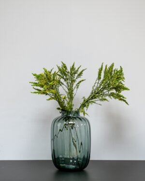 Alternative view of Solidago Grön - Konserverade Växter
