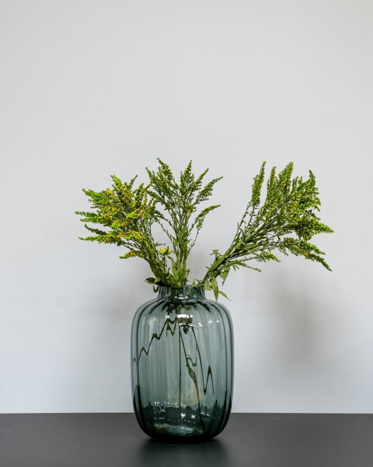 Alternative view of Solidago Grön - Konserverade Växter