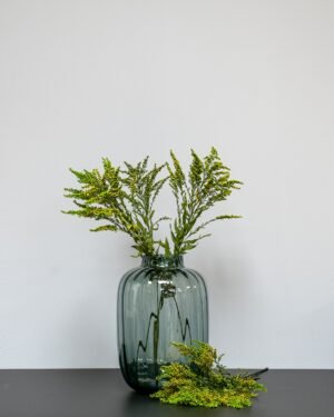 Solidago Grön - Konserverade Växter preserved Solidago green 5