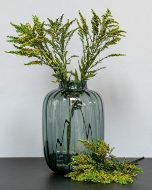 Solidago Grön - Konserverade Växter preserved Solidago green 6
