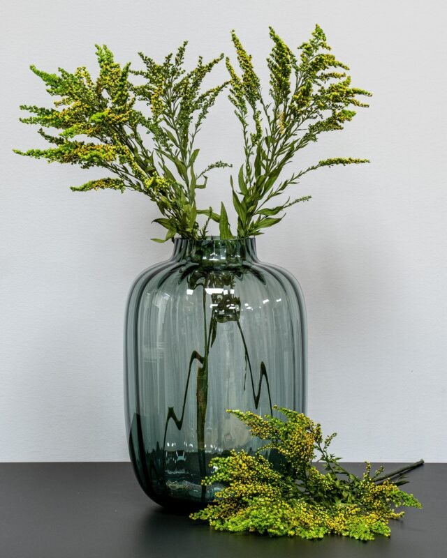 Torkade, konserverade och konstgjorda blommor – vad är skillnaden? preserved Solidago green 6