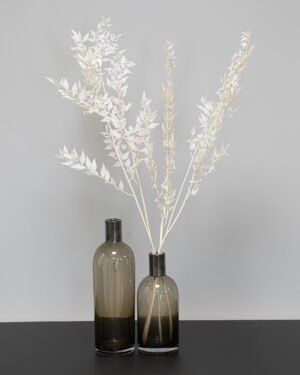 Alternative view of Ruscus 5 st.- Torkade Blommor