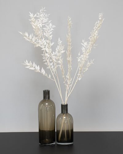 Alternative view of Ruscus 5 st.- Torkade Blommor