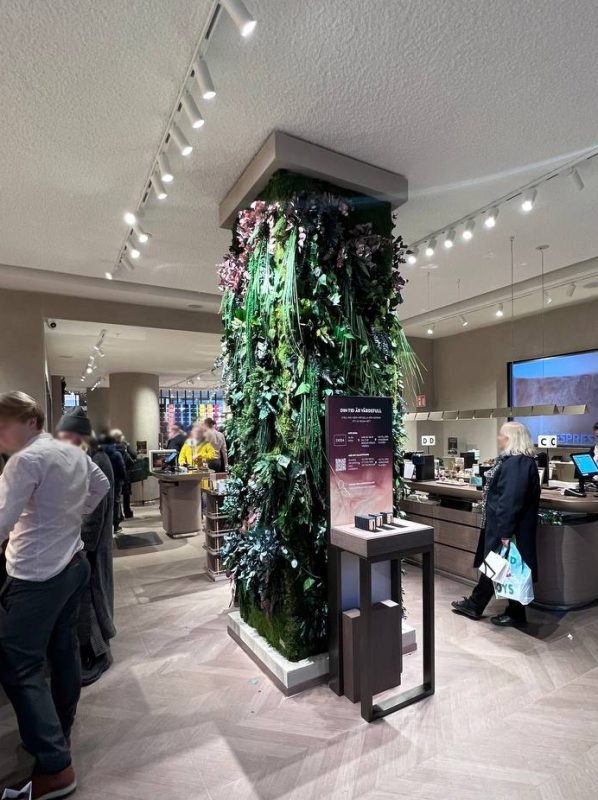 Professionella växtlösningar för kontor och företag