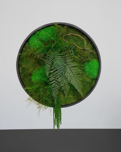 Forever Flora 114 Alternative view of Växttavla Cirkel – Vårskog Växtvägg