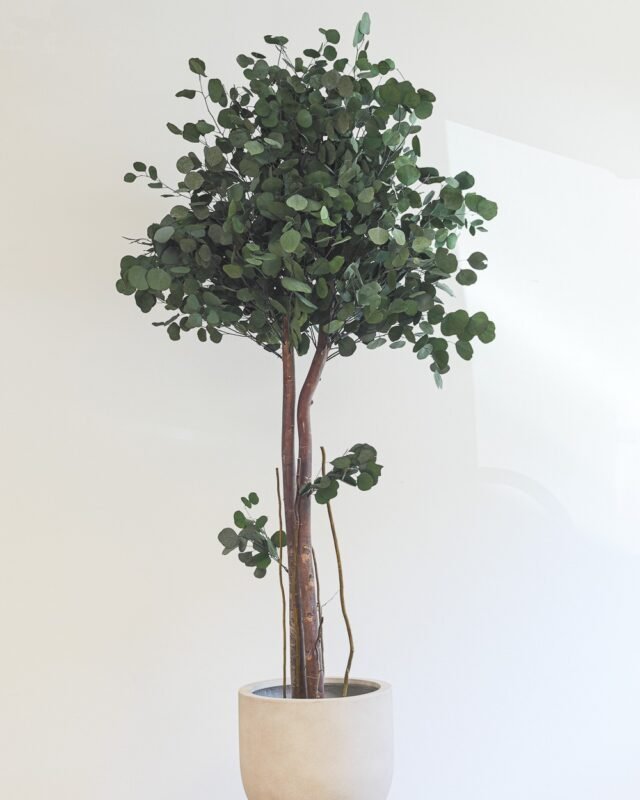 Inspiration - bild galleri single rosbox 44