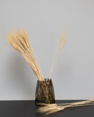 Triticum Vete