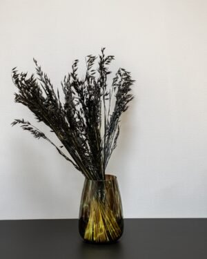 Havre Avena - Torkade Blommor Havre 12