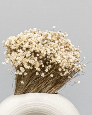 Marcela Naturell - Torkade Blommor Marcela 3