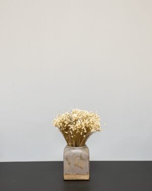 Marcela Naturell - Torkade Blommor
