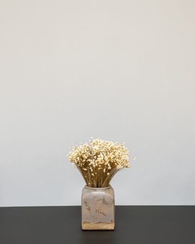 Forever Flora