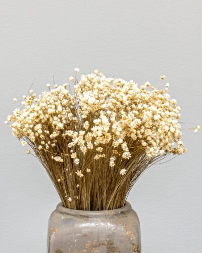 Alternative view of Marcela Naturell - Torkade Blommor