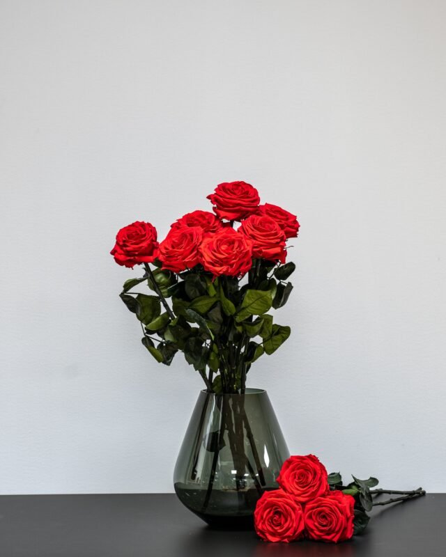 Introduktion till konserverade blommor och växter Evighetsros bukett 3