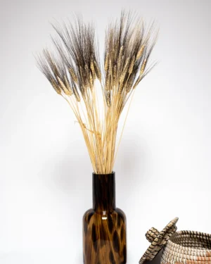 Triticum Vete - Torkade Blommor PR 141 1