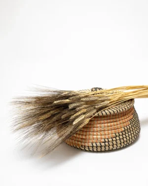 Triticum Vete - Torkade Blommor PR 143 1