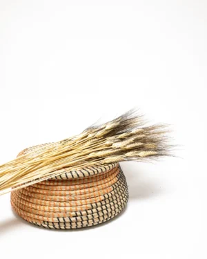 Triticum Vete - Torkade Blommor PR 145 1