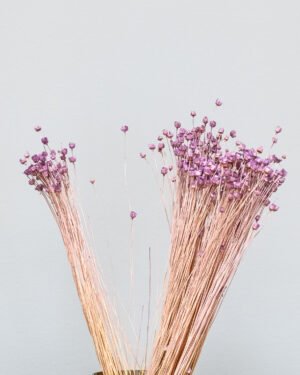 Jazilda - Torkade Blommor jazilda lila 4