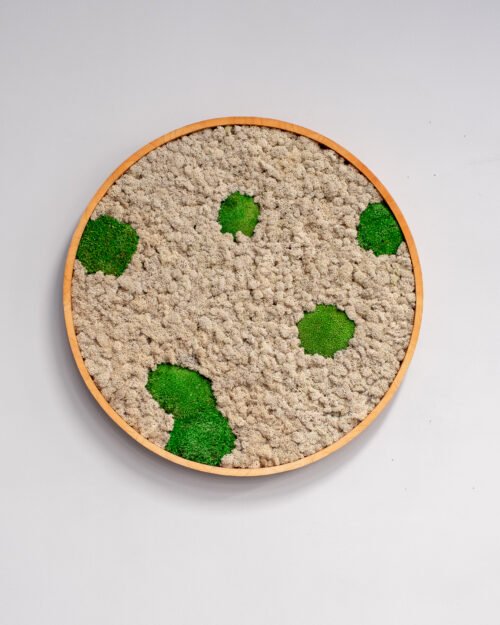 naturell Lichen och bollmossa -2