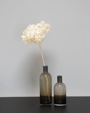 En fyllig och vacker konserverad hortensia i blekt vitt som skapar en elegant atmosfär i hemmet.