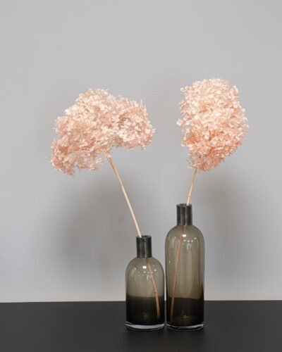Forever Flora