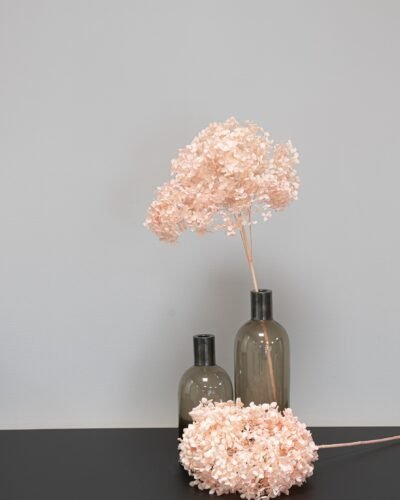Forever Flora