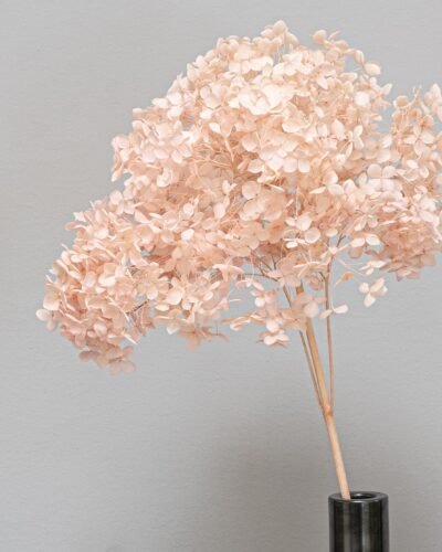 Forever Flora