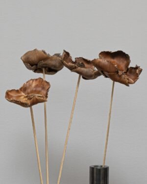 Alternative view of Palmcup 3 st.- Torkade Blommor