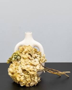 Hortensia Standard - Konserverade Blommor hortensia 10