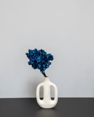 Hortensia Standard - Konserverade Blommor hortensia 11